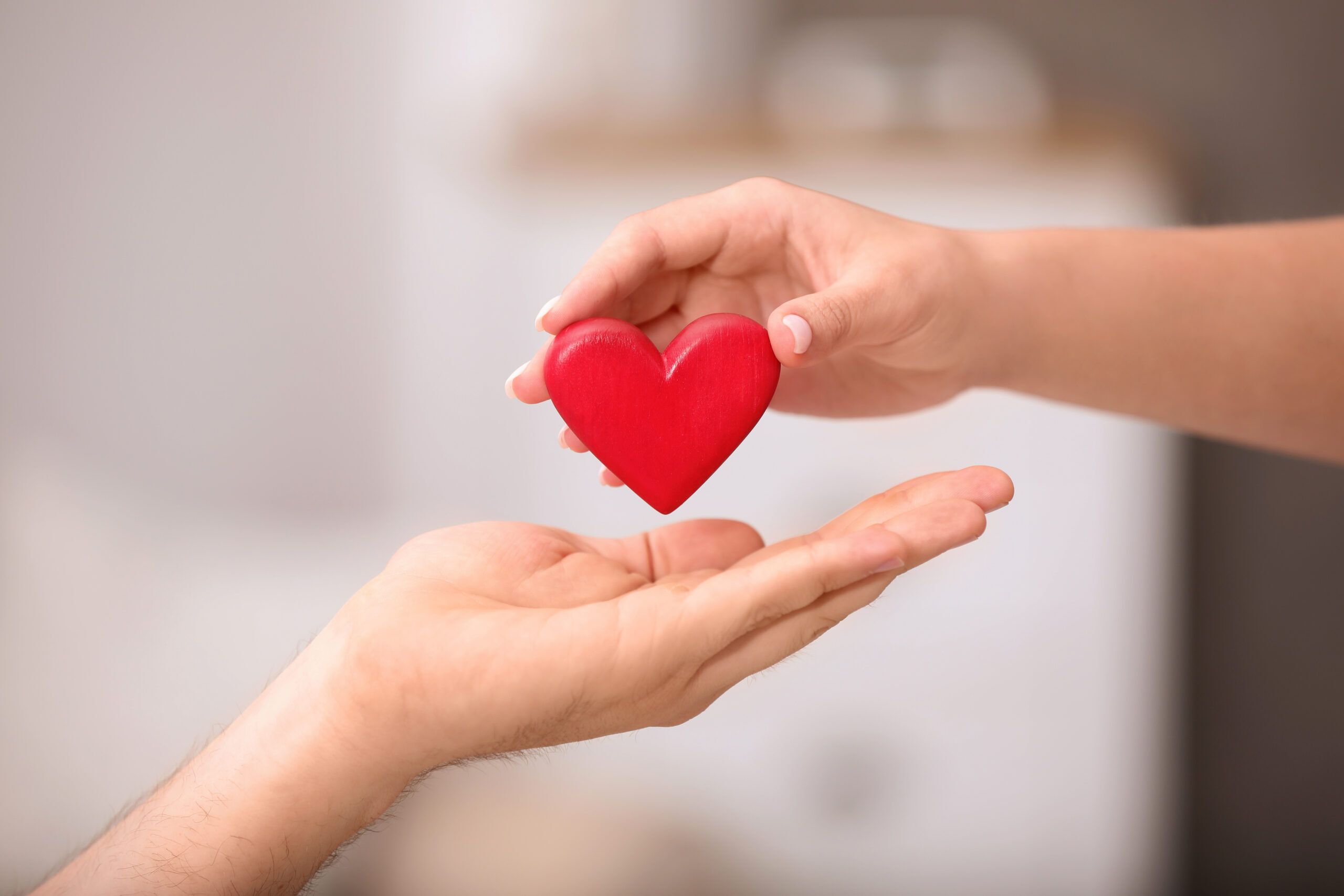 Man giving red heart to woman on blurred background, closeup. Donation concept Man giving red heart to woman on blurred background, closeup. Donation concept